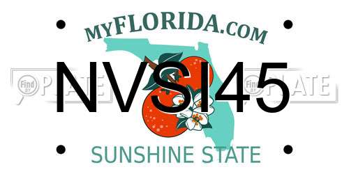 NVSI45 Florida License Plate