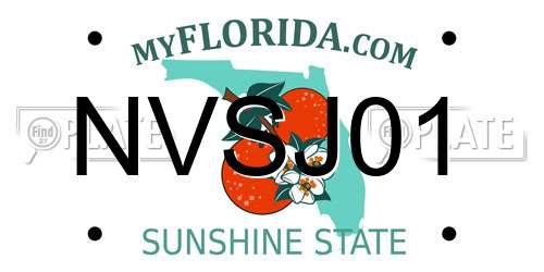 NVSJ01 Florida License Plate
