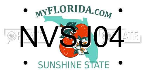 NVSJ04 Florida License Plate