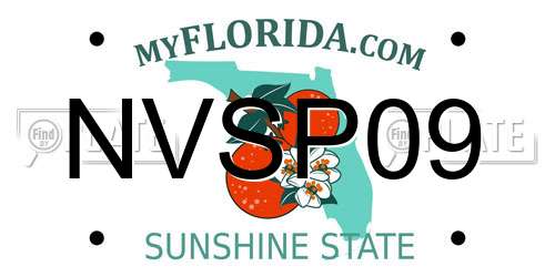 NVSP09 Florida License Plate