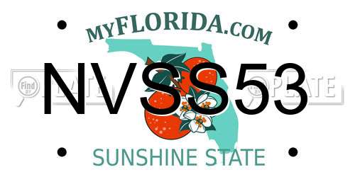 NVSS53 Florida License Plate