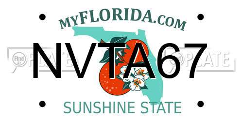 NVTA67 Florida License Plate
