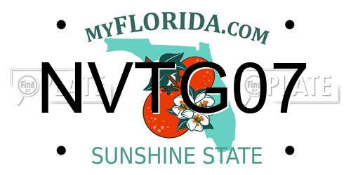 NVTG07 Florida License Plate