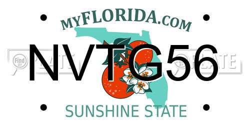 NVTG56 Florida License Plate