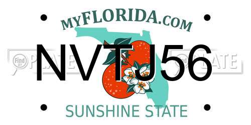 NVTJ56 Florida License Plate