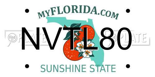 NVTL80 Florida License Plate