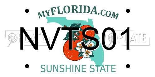 NVTS01 Florida License Plate