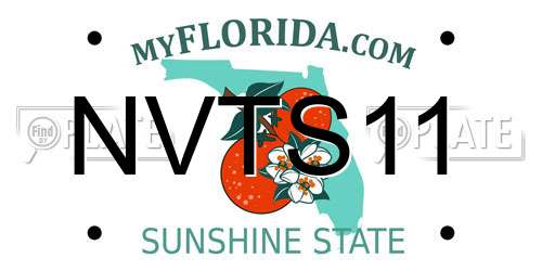 NVTS11 Florida License Plate