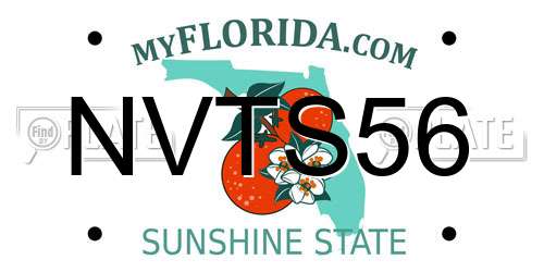 NVTS56 Florida License Plate