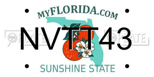 NVTT43 Florida License Plate