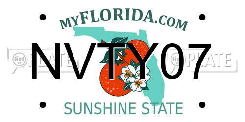 NVTY07 Florida License Plate