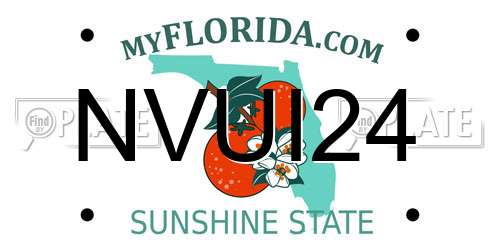 NVUI24 Florida License Plate