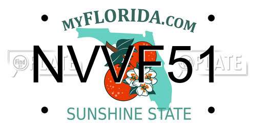 NVVF51 Florida License Plate