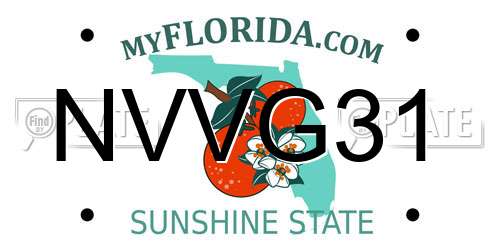 NVVG31 Florida License Plate