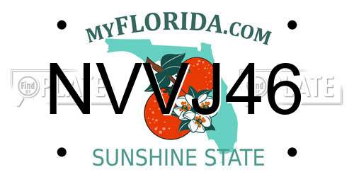 NVVJ46 Florida License Plate