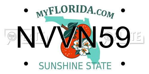 NVVN59 Florida License Plate