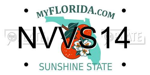 NVVS14 Florida License Plate