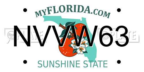 NVVW63 Florida License Plate