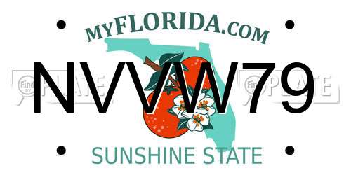 NVVW79 Florida License Plate