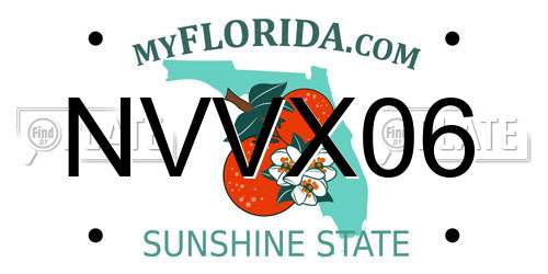 NVVX06 Florida License Plate
