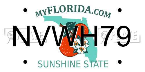 NVWH79 Florida License Plate