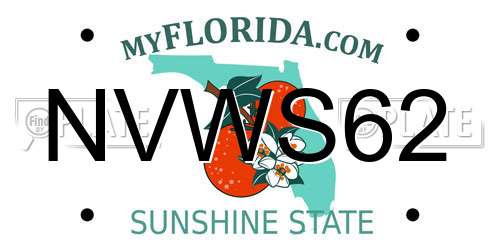 NVWS62 Florida License Plate