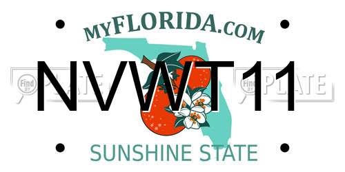 NVWT11 Florida License Plate