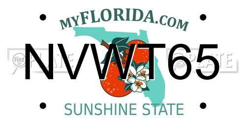 NVWT65 Florida License Plate