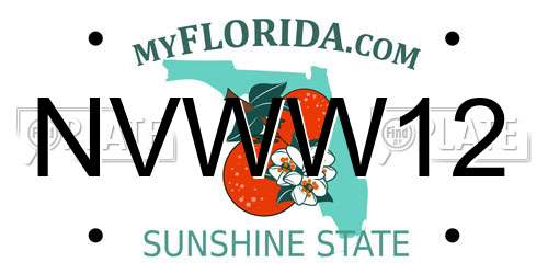 NVWW12 Florida License Plate
