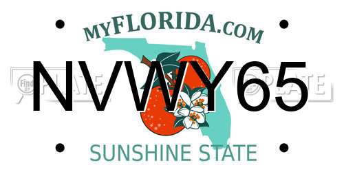 NVWY65 Florida License Plate