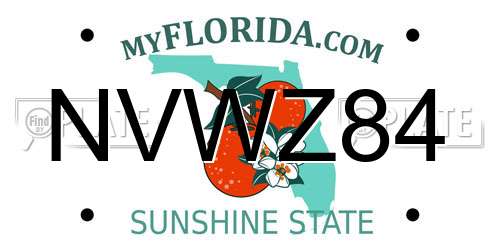 NVWZ84 Florida License Plate