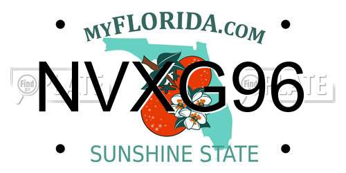 NVXG96 Florida License Plate
