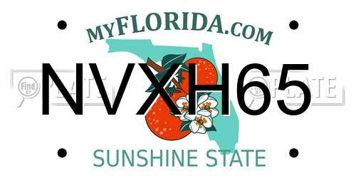 NVXH65 Florida License Plate