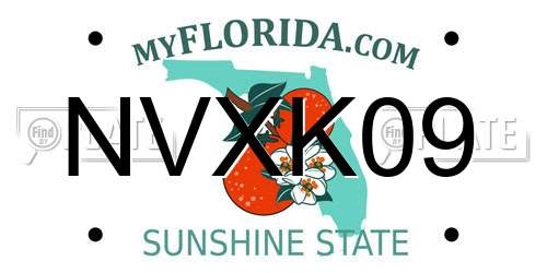 NVXK09 Florida License Plate