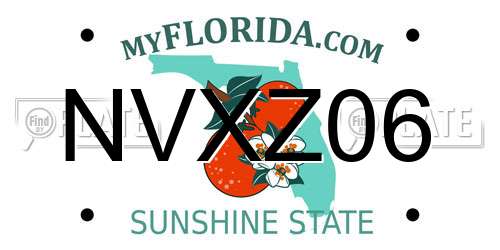 NVXZ06 Florida License Plate