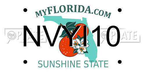NVYI10 Florida License Plate