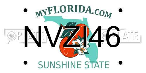 NVZI46 Florida License Plate