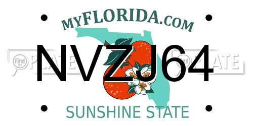 NVZJ64 Florida License Plate