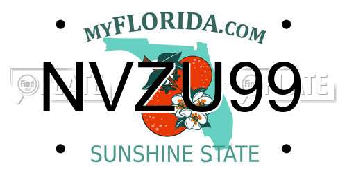 NVZU99 Florida License Plate
