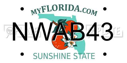 NWAB43 Florida License Plate