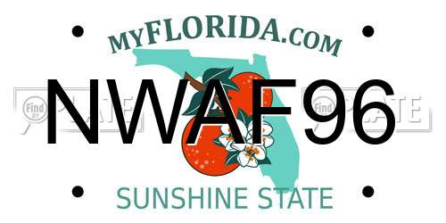NWAF96 Florida License Plate
