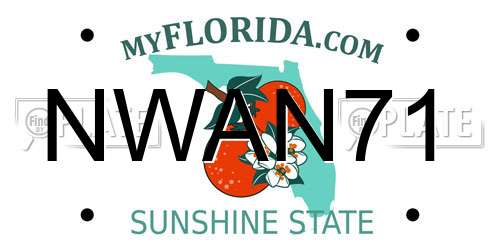 NWAN71 Florida License Plate