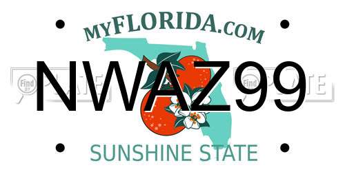 NWAZ99 Florida License Plate