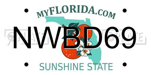 NWBD69 Florida License Plate