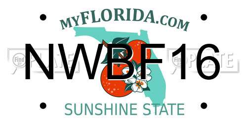 NWBF16 Florida License Plate