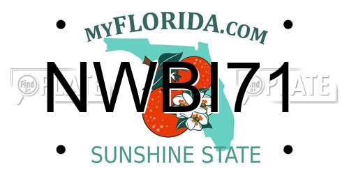 NWBI71 Florida License Plate