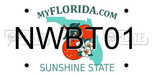 NWBT01 Florida License Plate