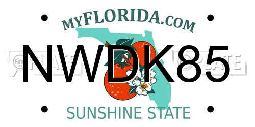 NWDK85 Florida License Plate