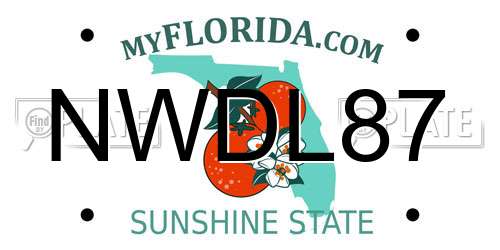 NWDL87 Florida License Plate