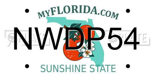 NWDP54 Florida License Plate
